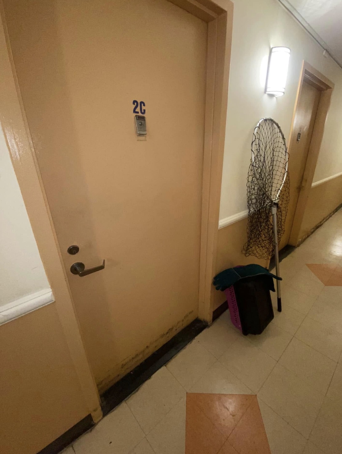 Waiting outside a hoarder's apartment with our capture net ready.