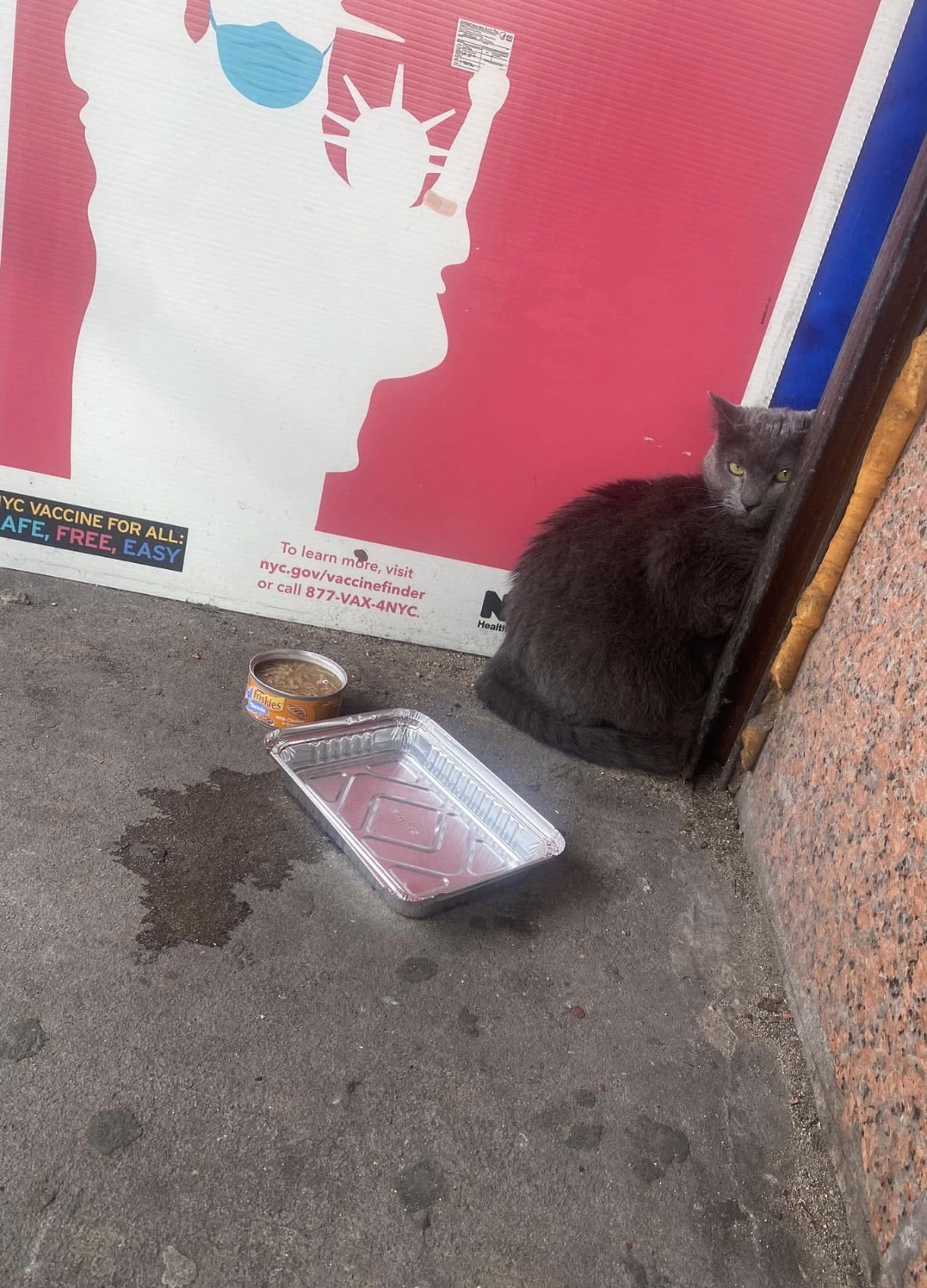 Feeding a scared community cat behind a Manhattan storefront.