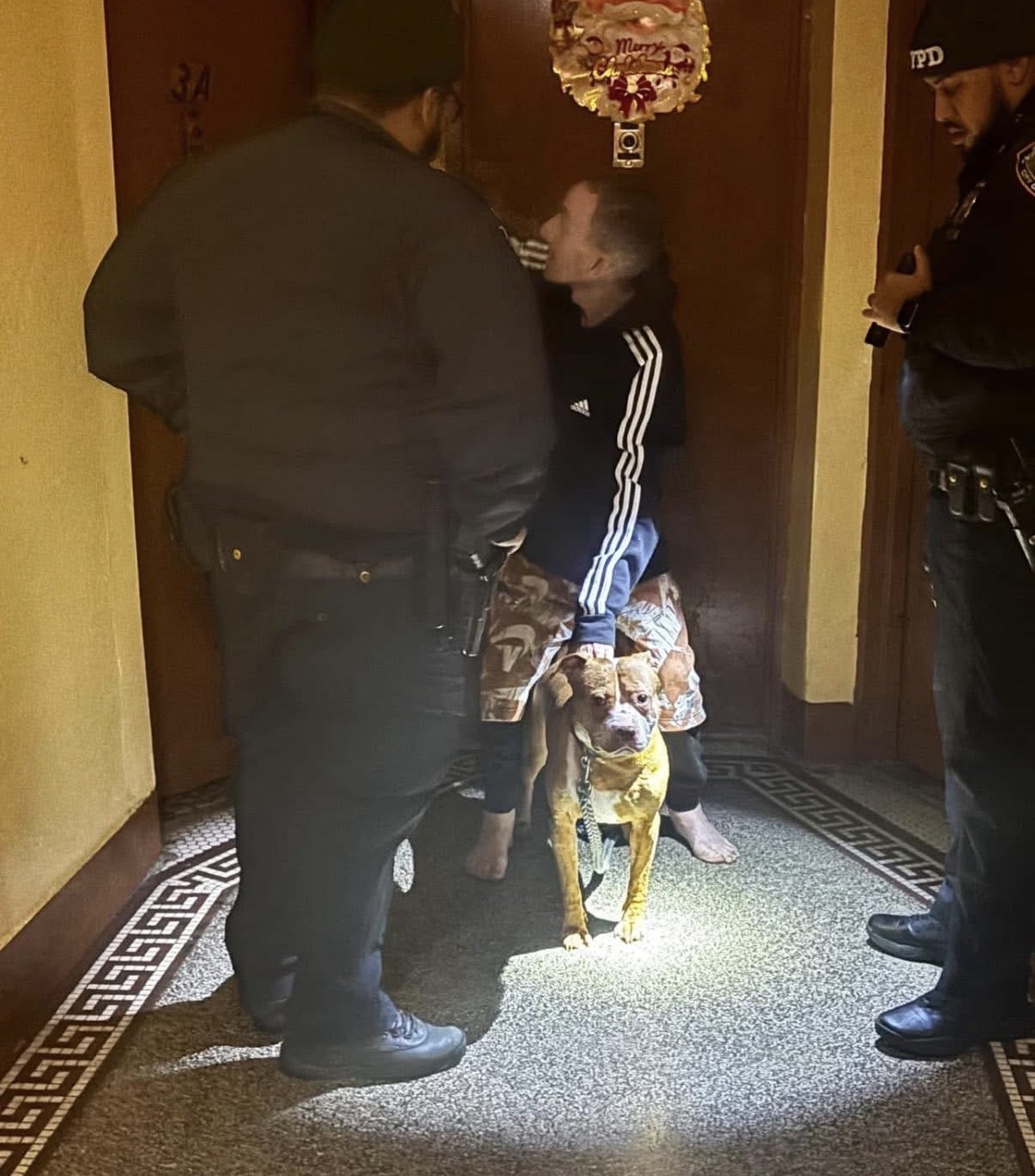 NYPD removes a dog from an abusive owner.